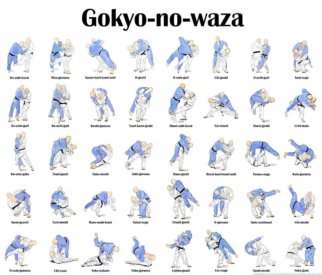 Τεχνικές στο Judo