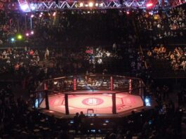 Το «κλουβί» του UFC